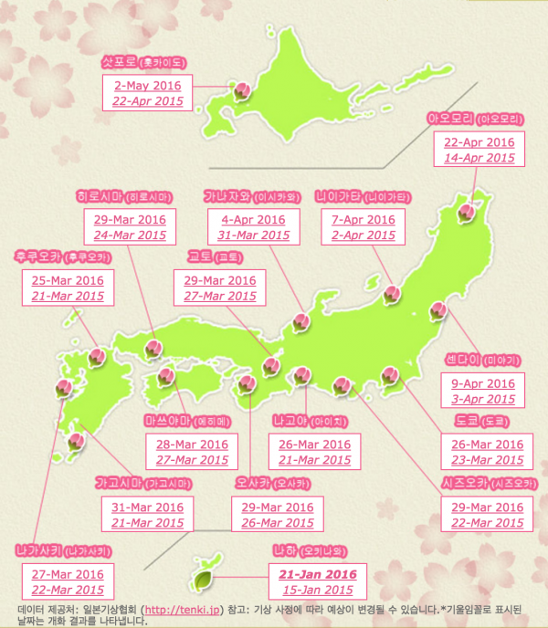2016년 벚꽃 예상(첫 개화일) 2월 24일 발표 www.jnto.go.jp/sakura/kor/index.php?CI=1